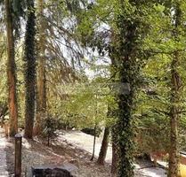 Rückzug statt Alltag – außergewöhnlich wohnen in Hohensyburg - Dortmund Rückzug statt Alltag – außergewöhnlich wohnen in Hohensyburg - Dortmund