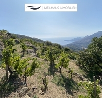 SIZILIEN: Verwunschenes Landhaus im Dornröschen-Schlaf - GALLODORO SIZILIEN: Verwunschenes Landhaus im Dornröschen-Schlaf - GALLODORO