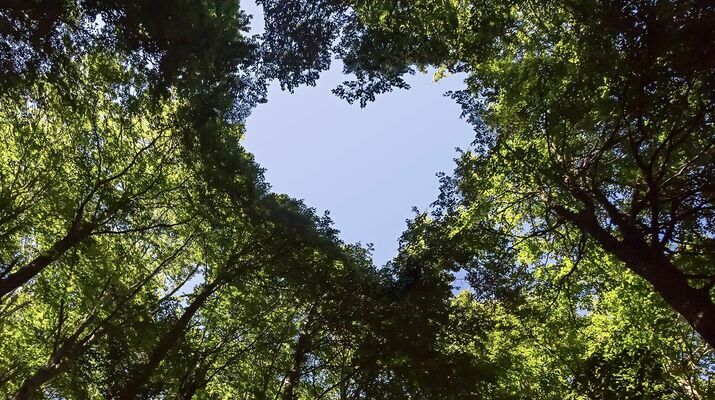 Nachhaltiges Bauen mit Holz bei allkauf